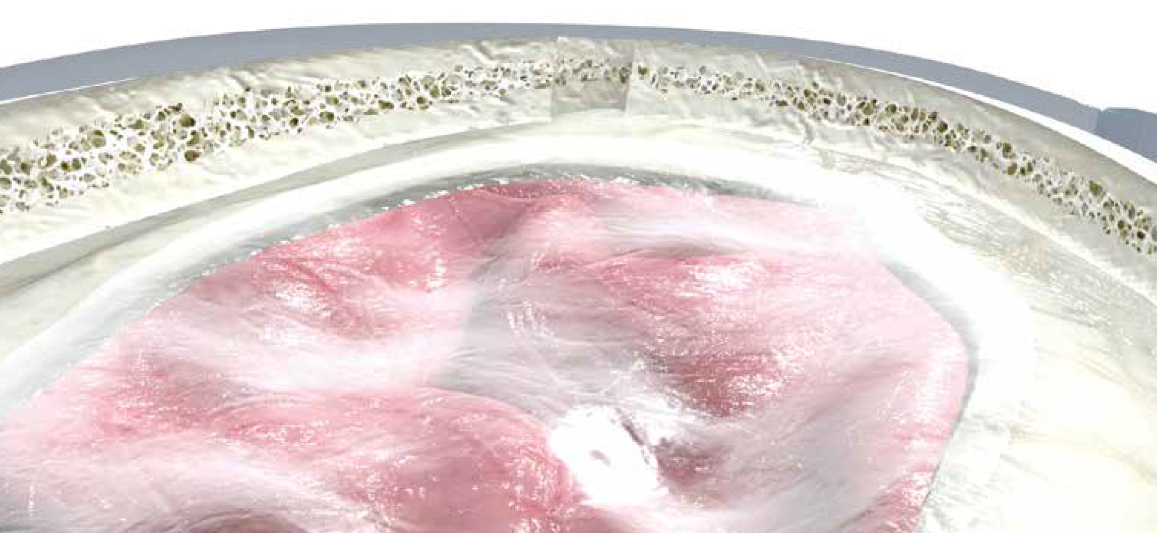 biocade® dura - Görsel 3